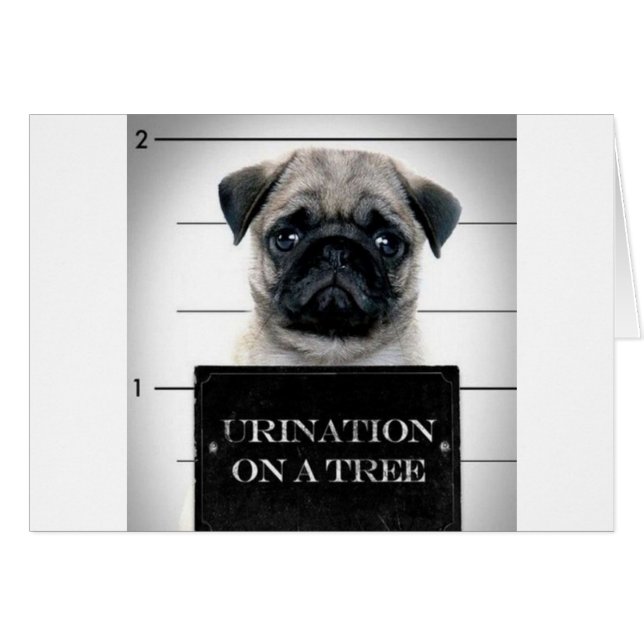 Pug (Devant horizontal)