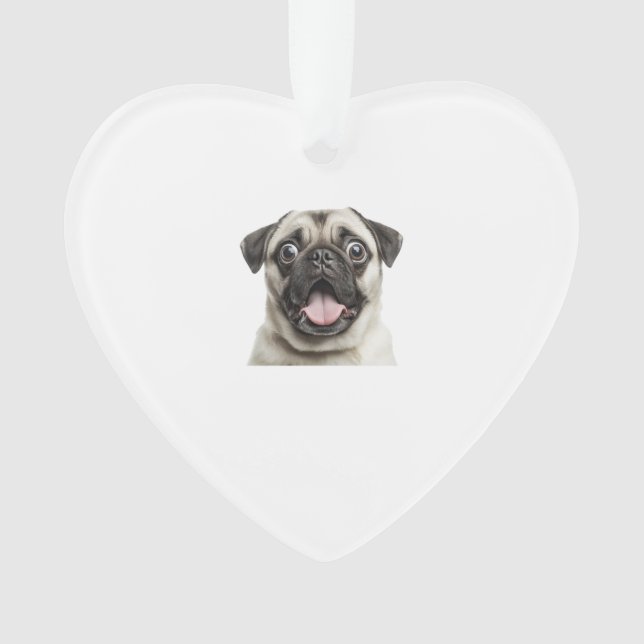 pug (devant)