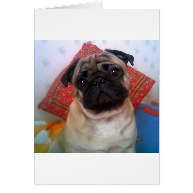 pug 4.png (Devant)
