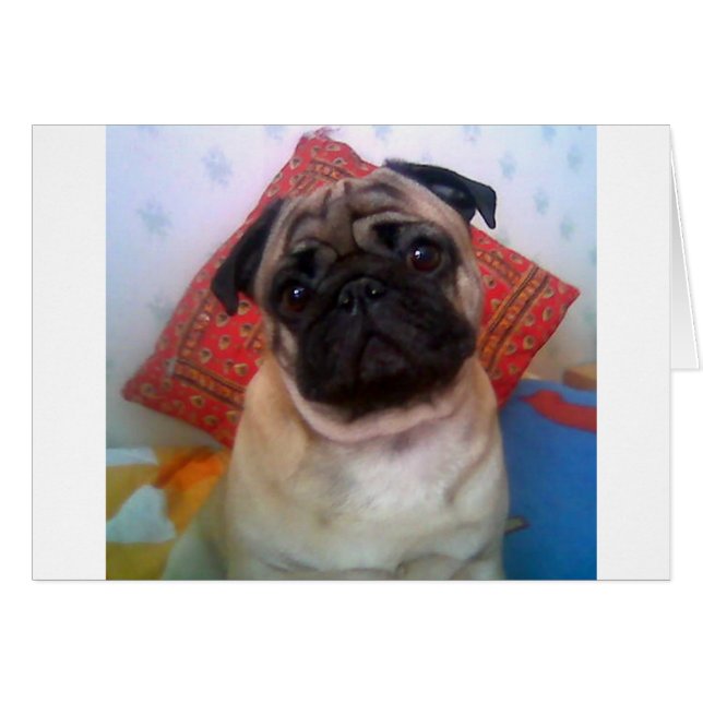 pug 4.png (Devant horizontal)