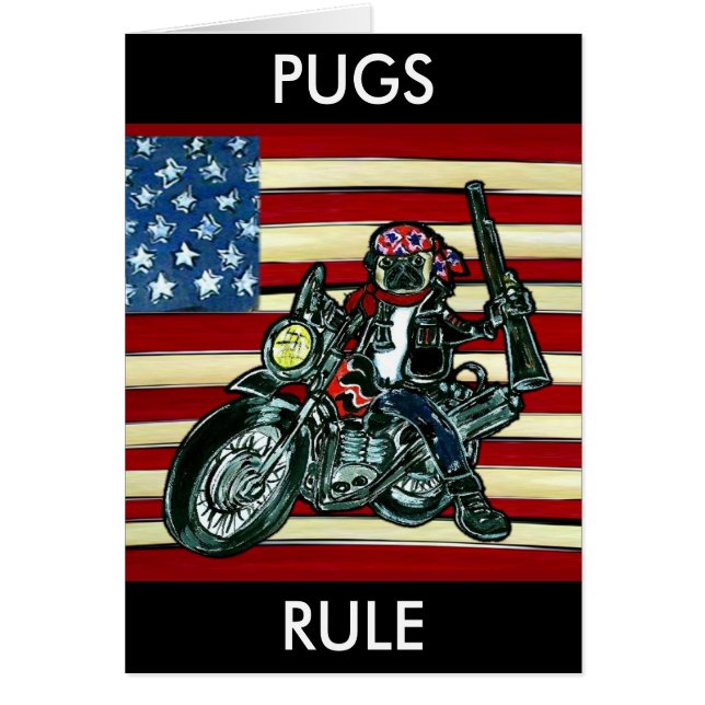 Pug motard (Devant)