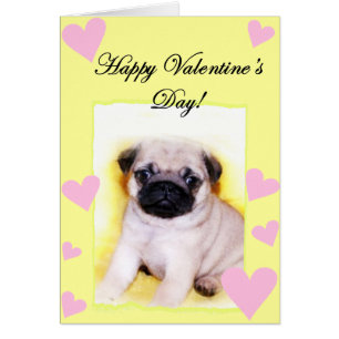 Pug puppy