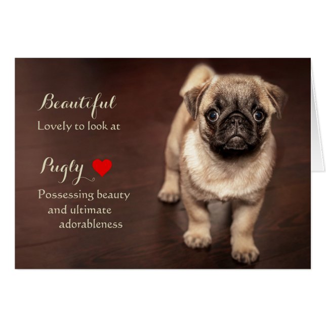 Pug puppy (Devant horizontal)