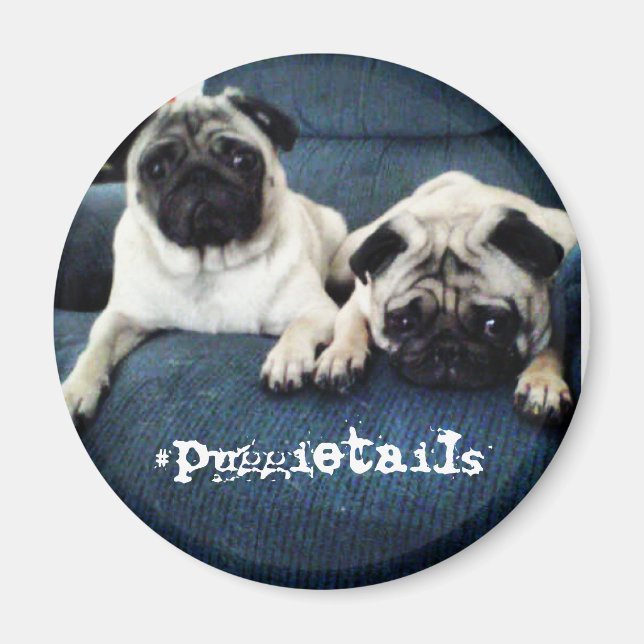 #puggietails aimant (Devant)