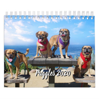 PUGGLE - CALENDRIER 2019