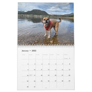 Puggle Calendrier 2022