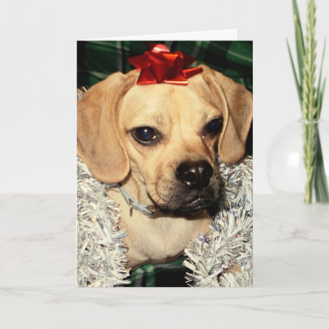 Puggle ! Carte de Noël (Devant)