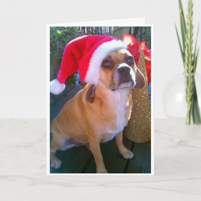 Puggle ! Carte de Noël (Devant)