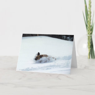 Puggle ! Carte de vacances