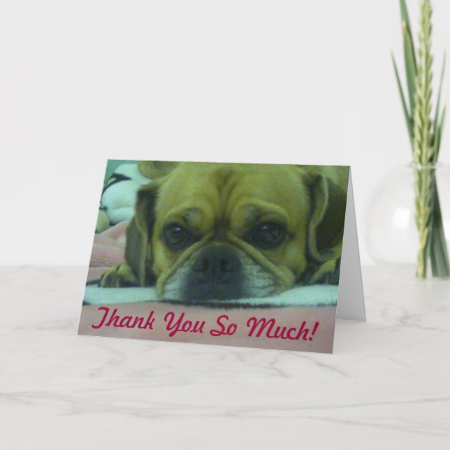 PUGGLE Merci Tellement de carte de voeux (Devant)