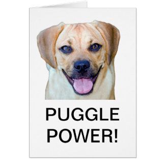 Puggle Power !