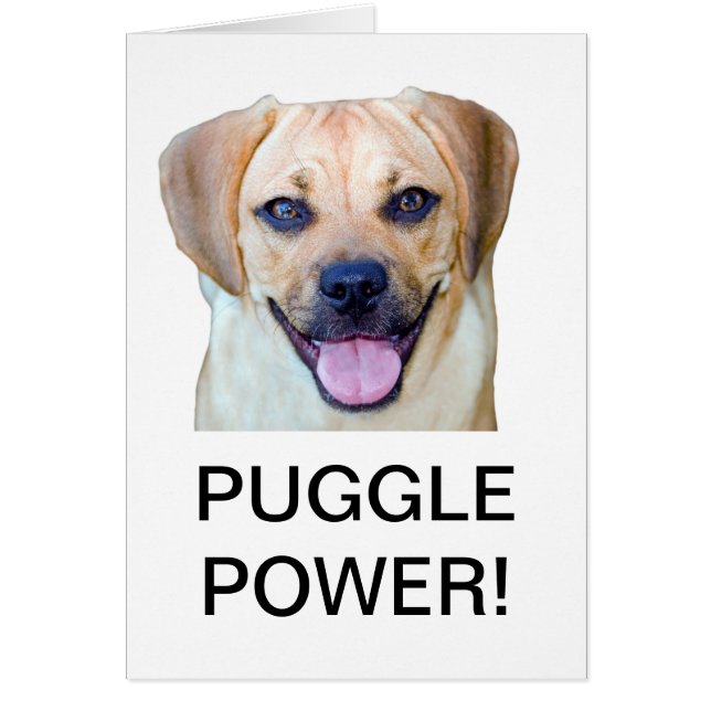 Puggle Power ! (Devant)
