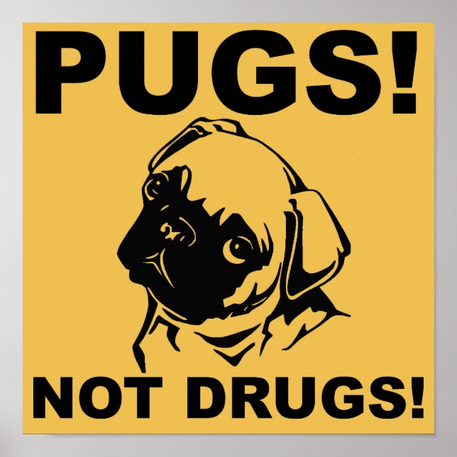 Pugs Pas Drogues Affiche Signe Drôle Citations (Devant)