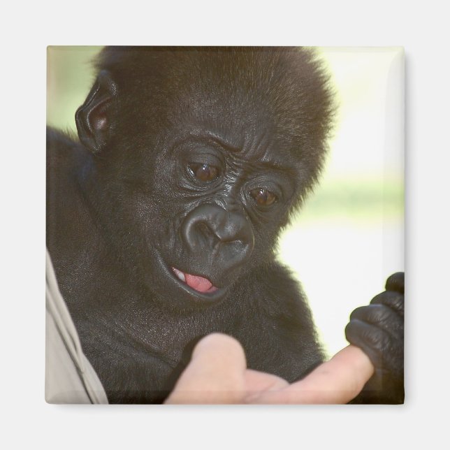 Puis-je tenir votre main ? Magnet (Devant)