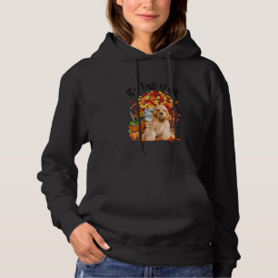 Pull À Capuche C'Est Automne Y Tout Cocker Citrouille Espagnol Au