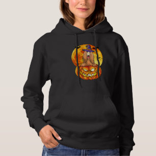 Pull À Capuche Chien de sorcière de Halloween citrouille Afghan H