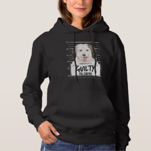 Pull À Capuche Coton De Tulear Mugshot Guilty Chien