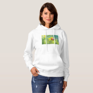 Pull À Capuche femme au sommet