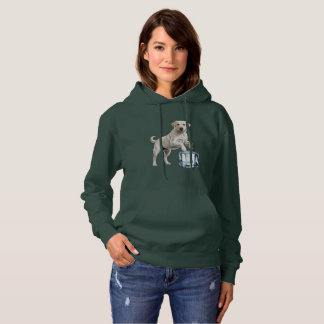 Pull À Capuche Funny Labrador Retriever On Ice Cube Cool Dog