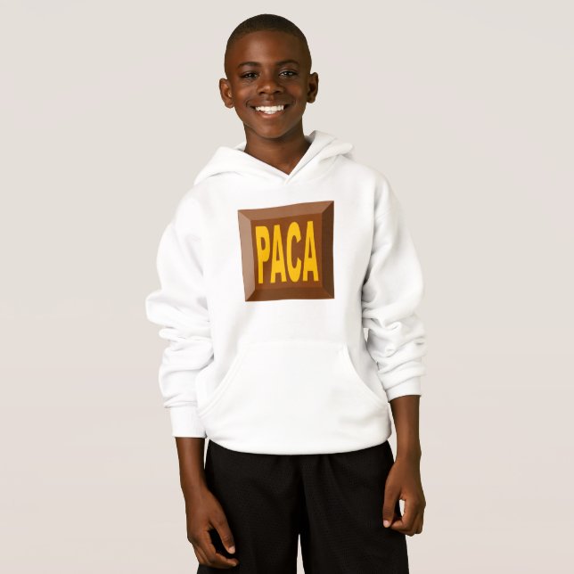 PULL A  CAPUCHE  HANE BLANC  PACA (Devant entier)