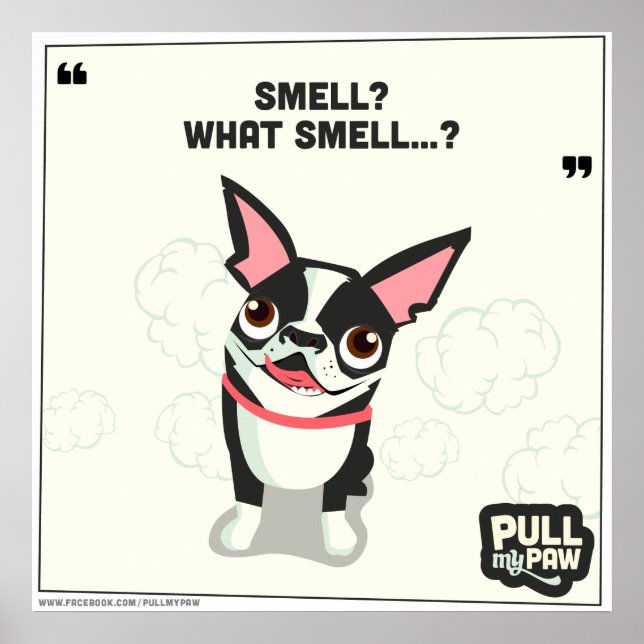 Pull My Paw - Poster 04 (Devant)