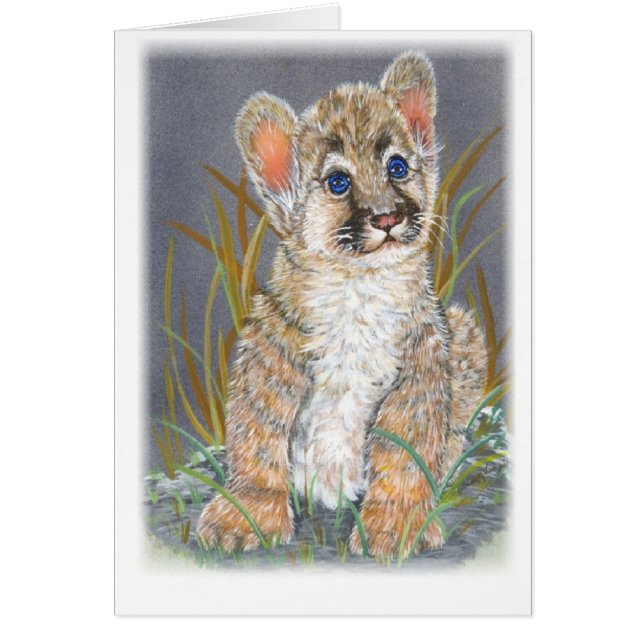 Puma de bébé (Devant)