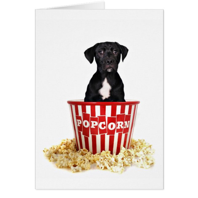 Pup-Corn qui que ce soit ? (Devant)