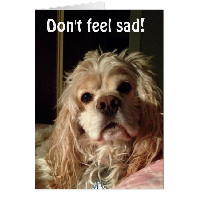 PUP DIT QUE WOOF U RESSEMBLE BIEN POUR TOURNER 50 (Devant)