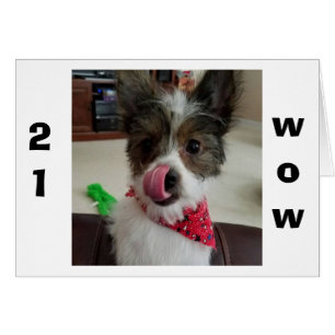 PUP EST TELLEMENT HEUREUX POUR VOUS D'AVOIR "21"