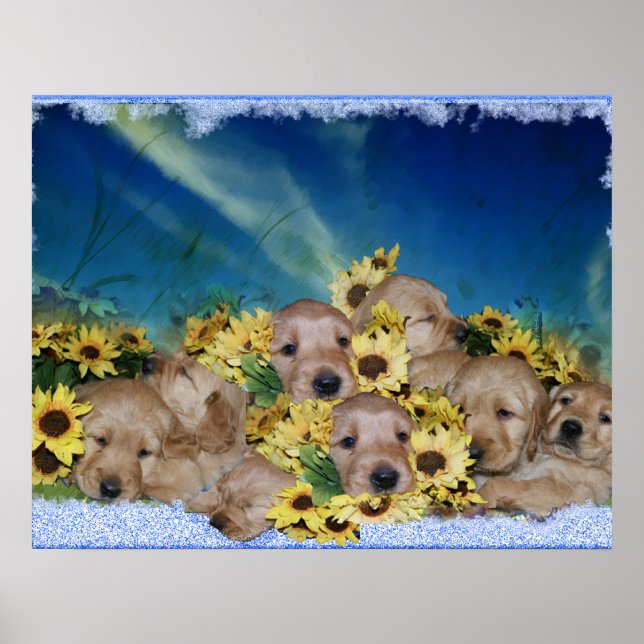 PUPIES ET FLEURS - POSTER DE RÉCUPÉRATION EN OR (Devant)
