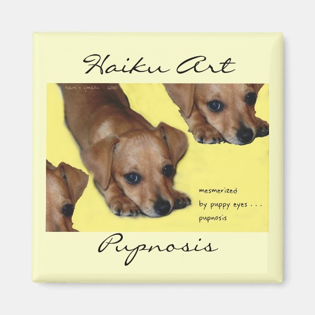 Pupnosis Haiku Art Magnet (Devant)