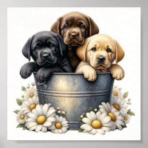 Puppies Adorables Dans Un Pot Fleur Pot Pot Poster