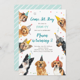 Puppy Birthday Invitation Chien Party Pawty Boy