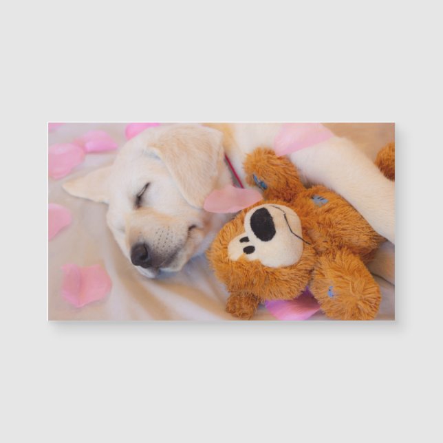 Puppy cuddles 02 (Devant)