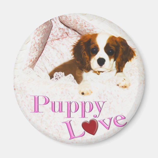 Puppy Love Cavalier King Charles Spaniel Magnet (Devant)