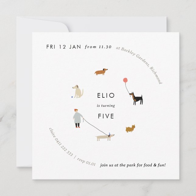 Puppy Party Modern Chien Anniversaire Invitation - (Devant)