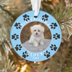 Puppy`s First Christmas Blue Paw Dog Photo