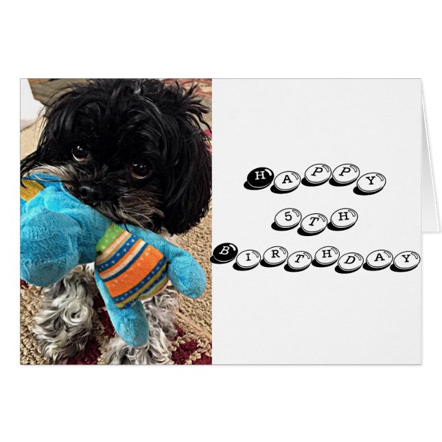 PUPPY With TOY DIT QUE VOUS TOURNEZ ****5**** (Devant horizontal)