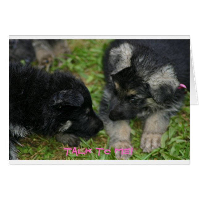 Pups (Devant horizontal)