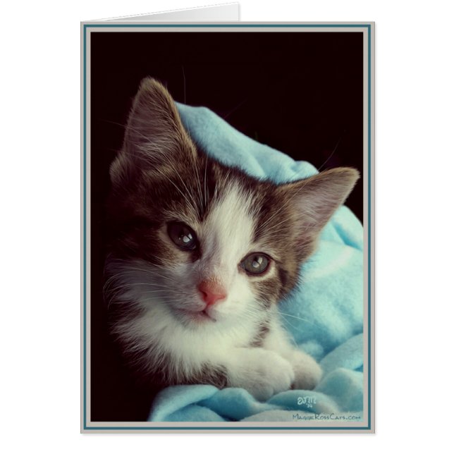 PUPs Card Kitties 6 (Devant)