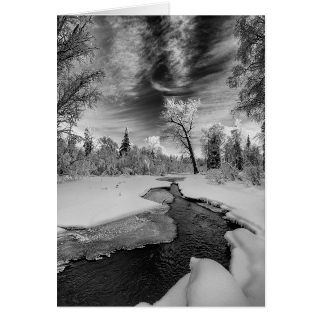 Pure Campbell Creek (Devant)