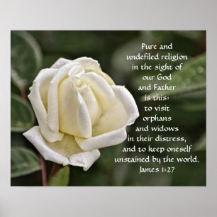 Pure White Rose Bible Scripture Poster