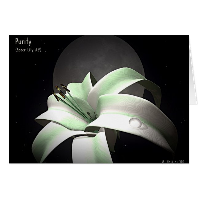 Pureté - lis #9 de l'espace (Devant horizontal)