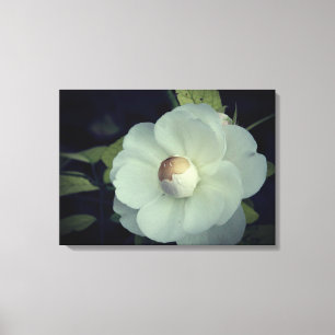 Pureté, toile de fleurs blanches Imprimer