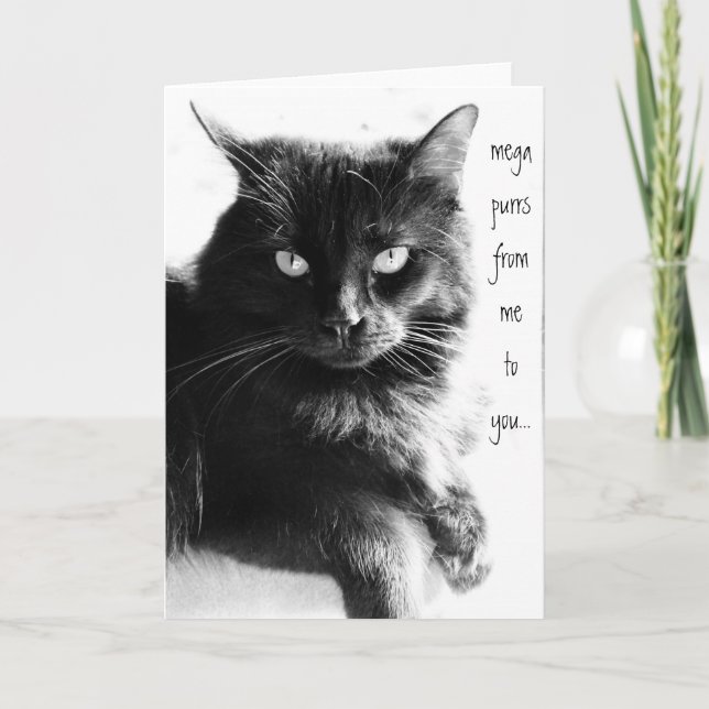 PURONS DE MOI À VOUS, cartes de notes de chat noir (Devant)