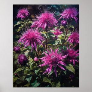 Purple Bee Balm Flowers Art Imprimer Poster