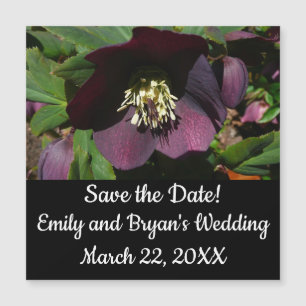 Purple Carême Rose Pâques