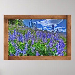 Purple Colorado fleur sauvage affiche pittoresque