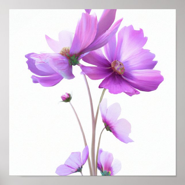 Purple Cosmos Fleurs Art Imprimer Poster (Devant)