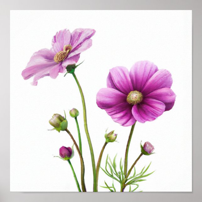 Purple Cosmos Fleurs Art Imprimer Poster (Devant)